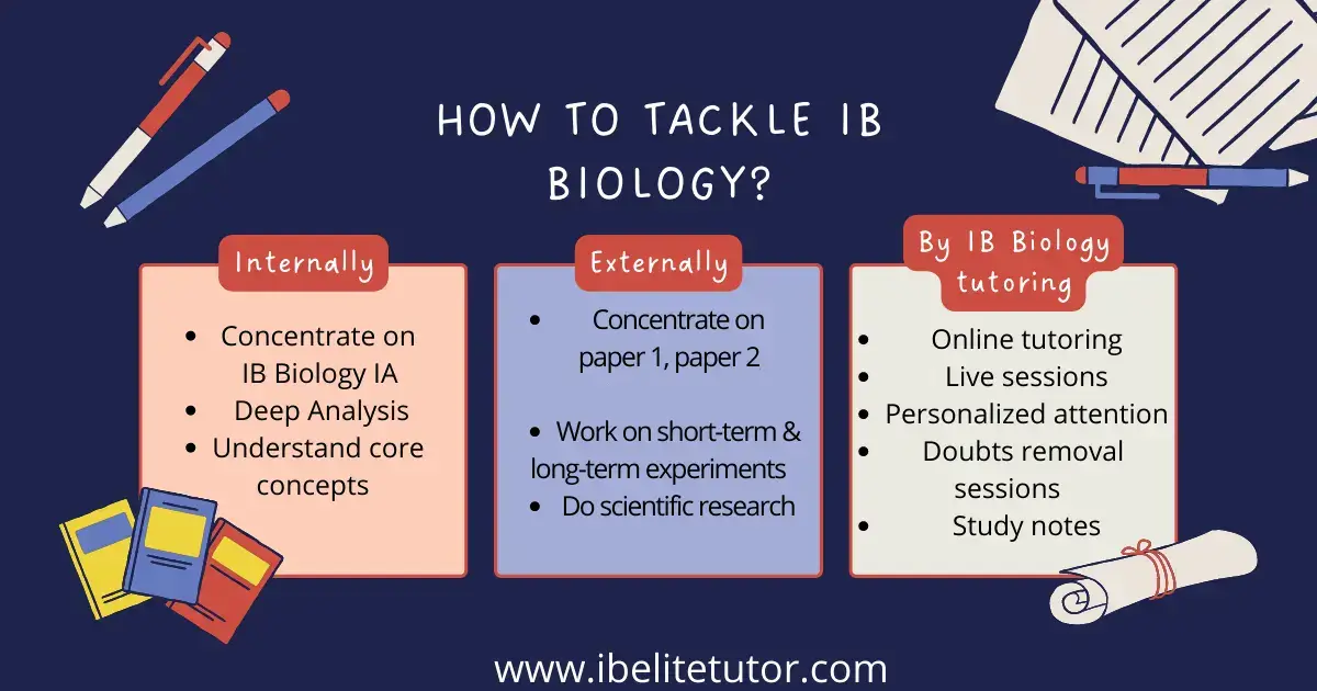 tips on how to get 7 in ib biology